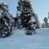 PICT0092.jpg